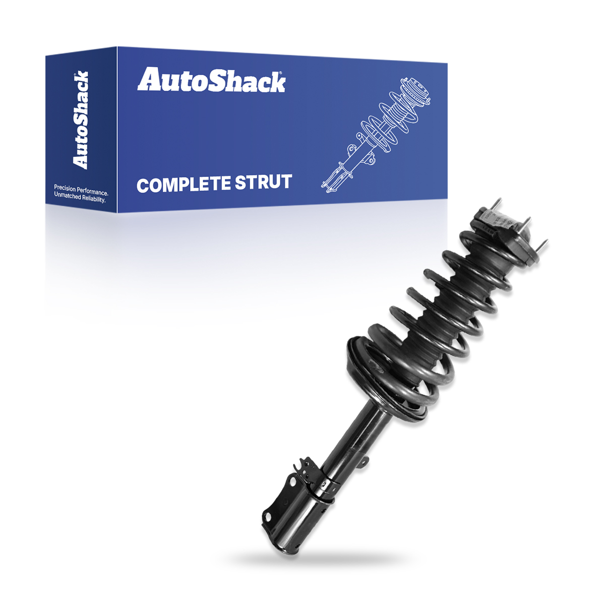 Rear Complete Strut and Coil Spring Passenger Side | CST100091